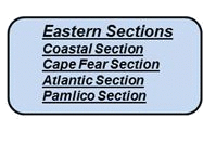 Eastern Sections 1
