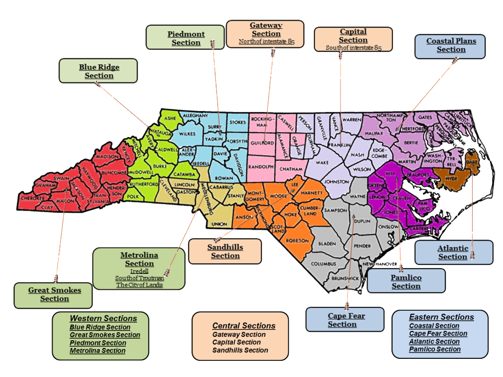 NC Sections